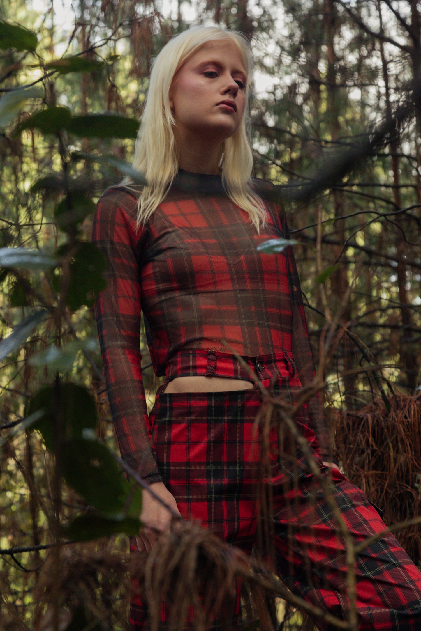 Pinakes Red Top Manga Larga