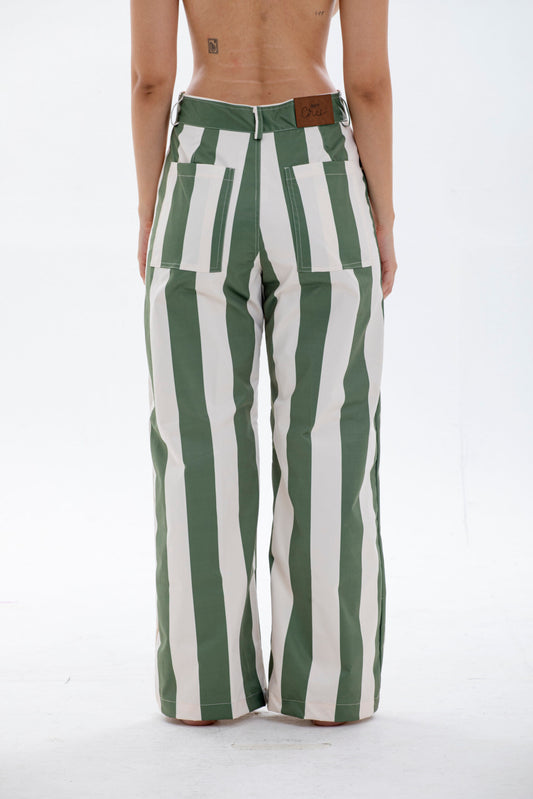 Dasius Pant