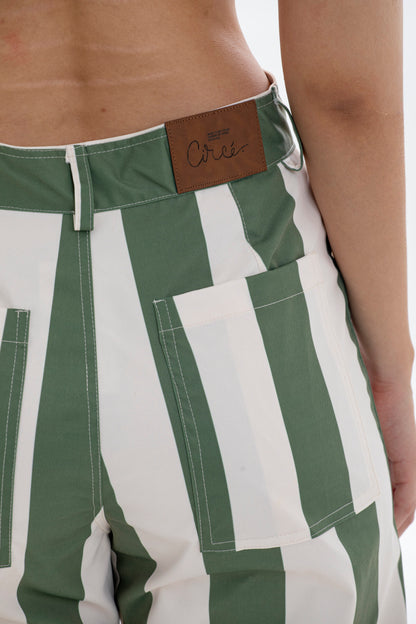 Dasius Pant