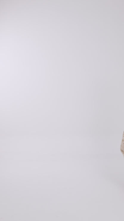 Physis Mesh Dress